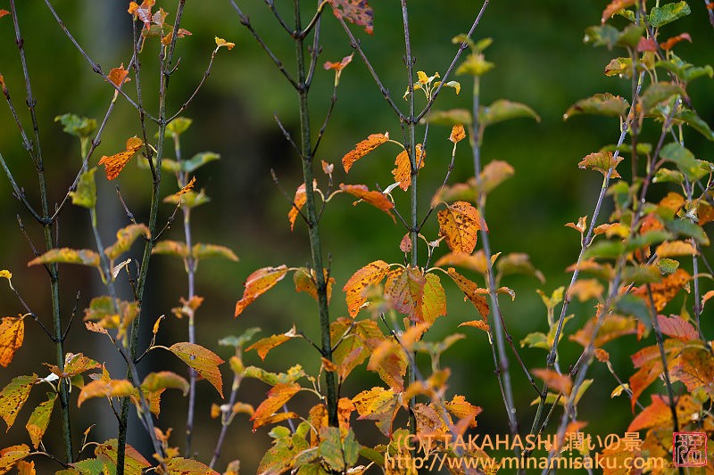 ../Images/7R251025 (84).jpg